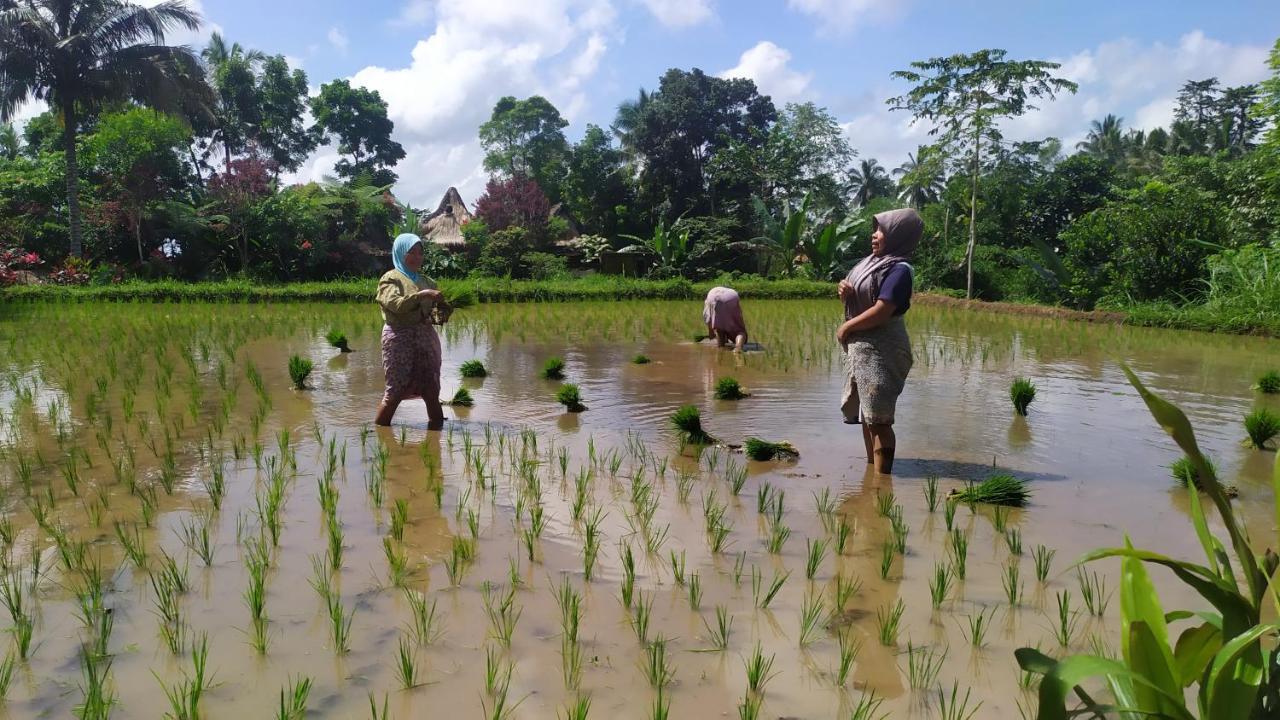Jaya Homestay Tetebatu Eksteriør bilde