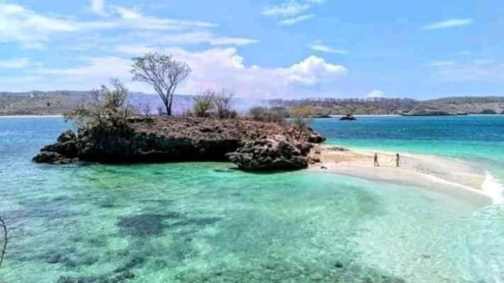 Jaya Homestay Tetebatu Eksteriør bilde