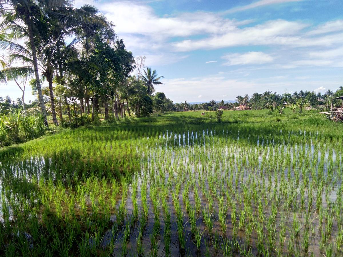 Jaya Homestay Tetebatu Eksteriør bilde